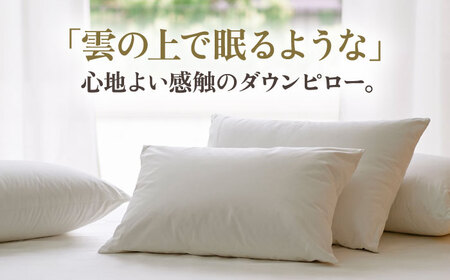 【高島屋選定品】〈富士新幸九州〉「GuuG」43×63cm ダウンピロー アップサイクル ダウン50%《壱岐市》布団 羽毛 枕 [JFJ010]
