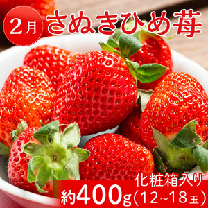 坂出市「旬のフルーツを味わう6回」定期便 【発送月：2月・4月・7月・9月・11月・12月】