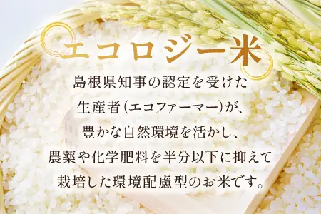 石見銀山天領米（氷感熟成エコロジー米こしひかり）10kg【コシヒカリ 10kg こしひかり お米 精米 島根県産 大田市産 米 氷感熟成 エコロジー米 減農薬 減化学肥料】