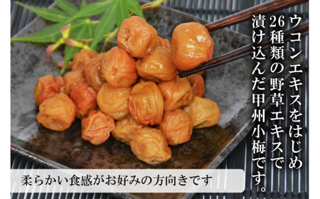 【やわらか】信玄の薬膳小梅干 600g×1  梅干し 国産 [山梨農産食品 山梨県 韮崎市 20743182]