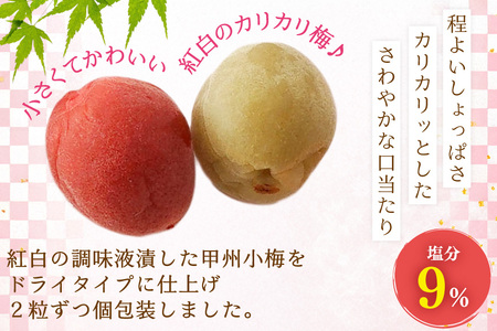 【やばいだろ】粋な小梅 30粒×15 計450粒 カリカリ梅干し 国産 個包装[山梨農産食品 山梨県 韮崎市 20743417] 
