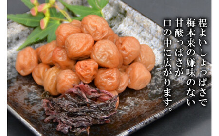 【塩分11％】しそ風味 干し小梅 600g×1 梅干し 国産 [山梨農産食品 山梨県 韮崎市 20743186]