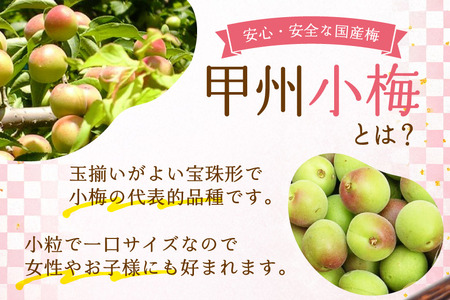 【やわらか】信玄の薬膳小梅干 200g×2 小粒 国産[山梨農産食品 山梨県 韮崎市 20743181]
