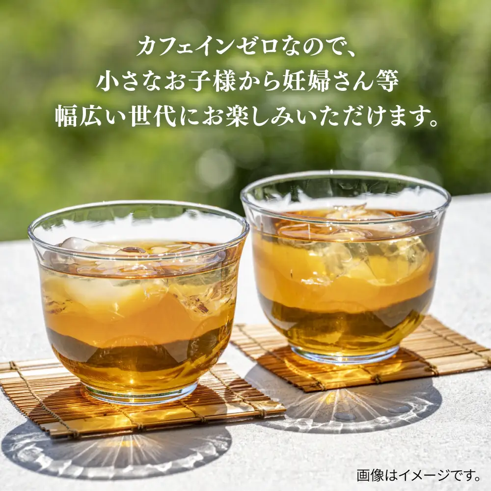 【全3回定期便】麦茶 600ml × 24本  糸島市 / スターナイン お茶 ペットボトル [ARM018]
