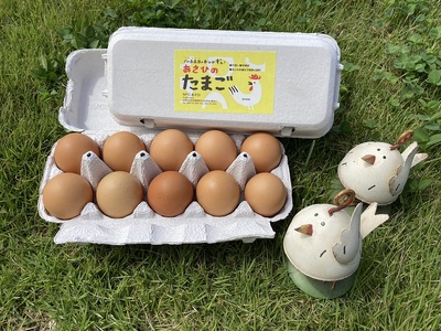 『平飼い有精卵』　あさひのたまごと手作りケーキ（レモンケーキ・マーブルケーキ）セット [h001]