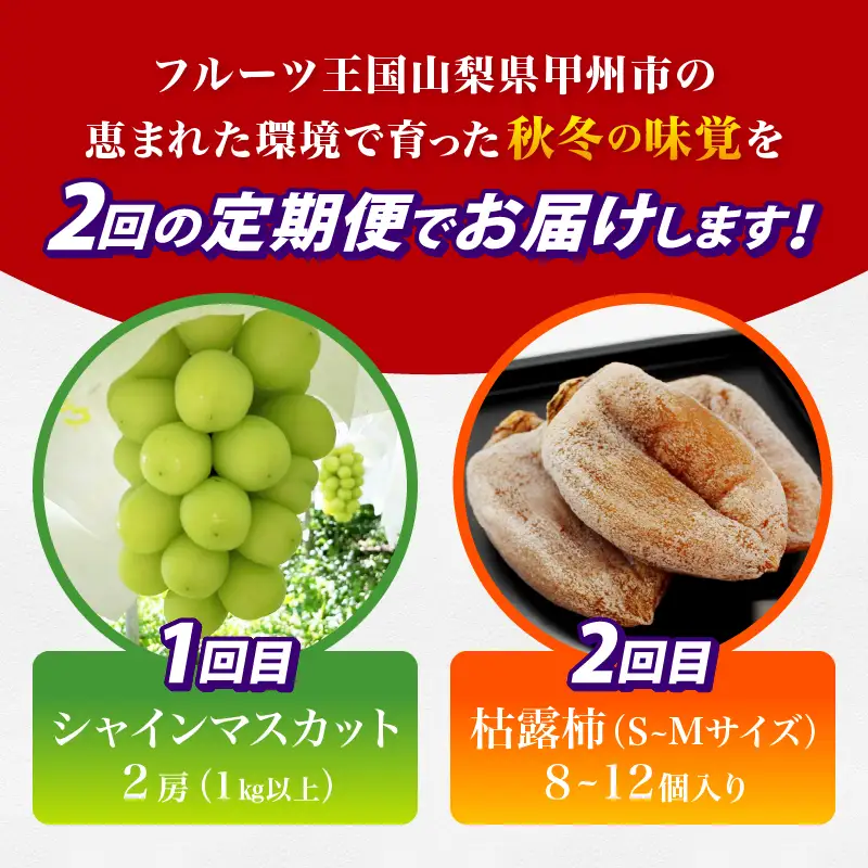 【定期便】甲州の名産品が詰まった厳選フルーツ2回定期便 シャインマスカット・枯露柿【2026年度発送】（IS）C6-460 シャインマスカット フルーツ