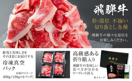 【ふるなび限定】牛肉 訳あり 飛騨牛 切落とし 600g 牛肉 飛騨高山ミート MZ012 牛肉 FN-Limited-PR