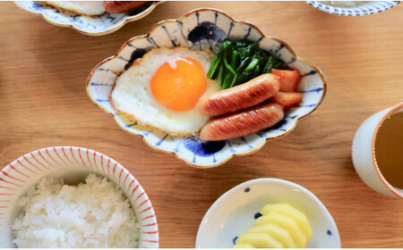 有田焼 菱型菊割向付 十草松竹梅・変り絵 2枚セット【まるぶん】食器 器 うつわ 磁器 陶磁器 皿 プレート 取皿 盛皿 2枚 セット 染付 青 藍 ブルー 電子レンジ対応 40000円 A40-384