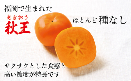 【2026年10～11月発送】秋のフルーツの王様・ブランド柿「秋王」約3.5kg[H2321]