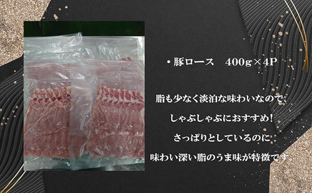 「あいぽーく」しゃぶしゃぶ用（ロース）400g×4 豚肉 バラ しゃぶしゃぶ 小分け 石川養豚場 ブランド 豚 農場 HACCP 認証 愛知県産豚肉 国産豚 ポーク 人気 冷凍 おいしい 安全なお肉 肉 豚バラ肉 鍋 美味しい 人気 脂 具材 炒め物 野菜 愛知県 常滑市