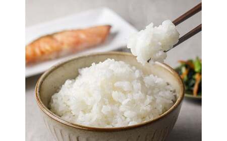 米 令和7年 のと米 こしひかり 精米 10kg [はくい農業協同組合 石川県 宝達志水町 38601249]