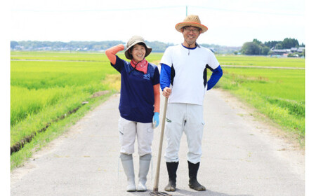 【期間限定発送】 米 令和7年 能登米 コシヒカリ 精米 5kg [みどりの波 石川県 宝達志水町 38601256]