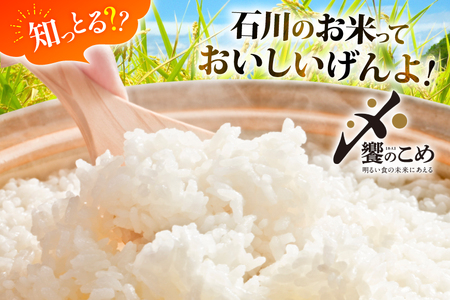【期間限定発送】 米 令和7年 ひゃくまん穀 精米 10kg [中橋商事 石川県 宝達志水町 38601201]