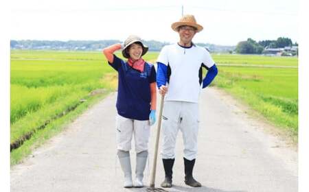 【期間限定発送】 米 令和7年 ゆめみづほ 白米 5kg [みどりの波 石川県 宝達志水町 38601254]