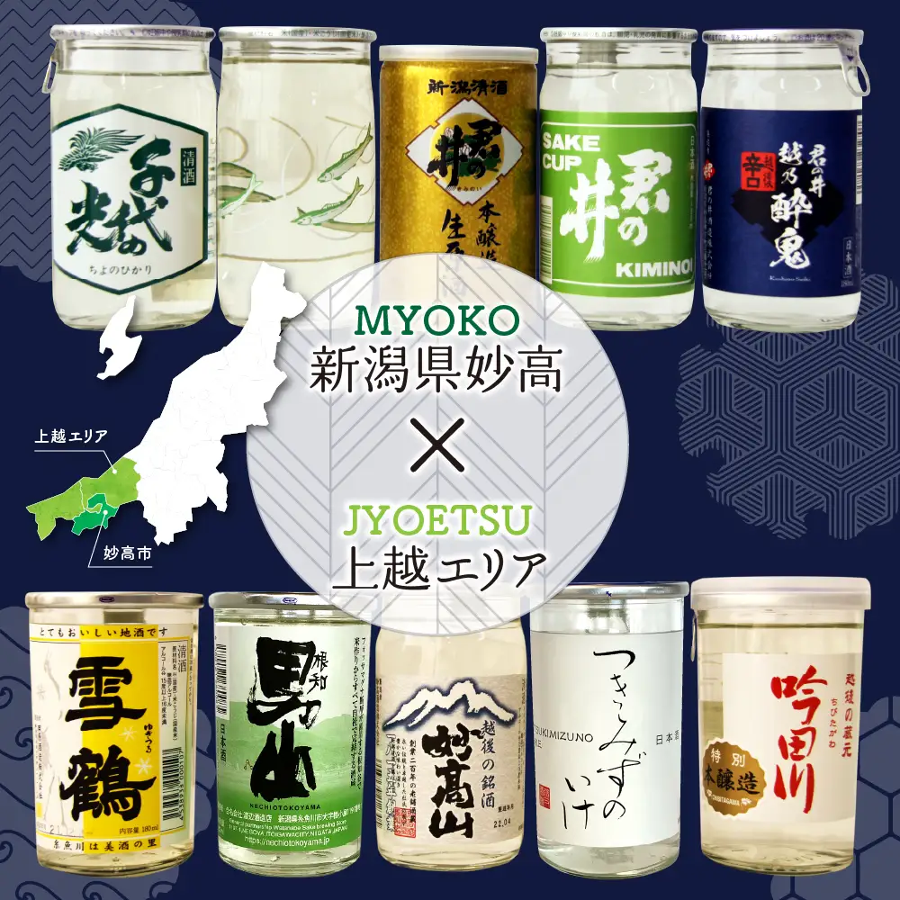 新潟県妙高飲み比べカップ酒セット(上越エリア) 10種 詰め合わせ