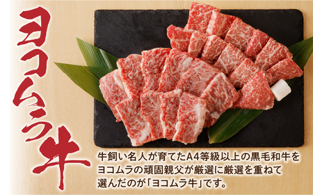 【 鹿児島 黒毛和牛 A4 ～ A5 】焼肉 上 セット ( 上カルビ / 上ロース ) K189-008 肉 牛肉 冷凍