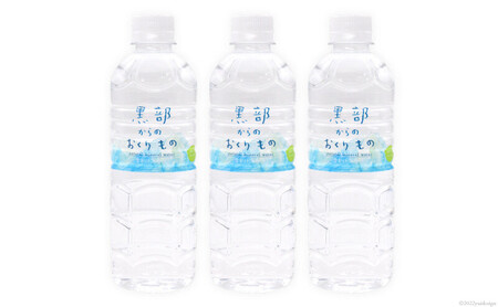 【合計576本】定期便 黒部からのおくりもの 500ml×24本×2ケース×12回 総計288L 名水百選 黒部の名水 防災 アウトドア ペットボトル 飲料水 ミネラルウォーター 2個口配送/IAC/富山県 黒部市 飲み物 ドリンク ペットボトル飲料 