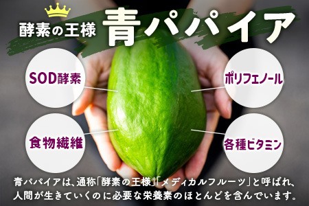 ［お試し］グリーンパパイアティー 果実茶セット（ティーバッグタイプ）ポスト投函【P3】
