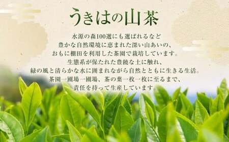 新川製茶 うきはの山茶 プレミアムGIFT 桐箱入り 有機JAS認定 (煎茶・白折・焙じ茶・和紅茶) 計195g お茶 茶 お茶の葉 茶葉 緑茶 ほうじ茶 紅茶 福岡県 うきは市