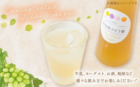 中村柿ぶどう園 濃縮ぶどうビネガー 300ml×2本  フルーツビネガー 果実酢 フルーツ酢 お酢 酢 ビネガー 濃縮タイプ 飲料 福岡県 うきは市