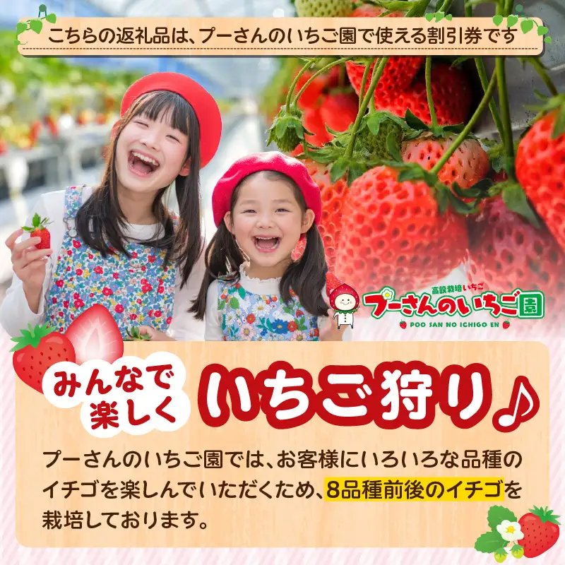 プーさんのいちご園　割引券（3,000円分） 【レターパック】 イチゴ狩り あまおう 恋みのり 紅ほっぺ さがほのか かおり野 おいCベリー あまえくぼ よつぼし 高設栽培 多段式 バリアフリー 車椅子 子供 品種 完熟 摘みたて 新鮮 家族 清潔 福岡県 八女市 090-005