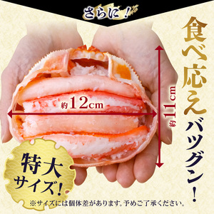 香住ガニ 甲羅盛り 約160g×4個 カニ酢10g×4個 カニ かに 蟹 10-16