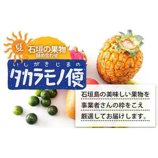 石垣島の夏「果物」詰め合わせ～夏のタカラモノ果物便～SH-5