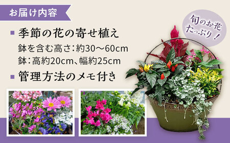 おまかせ 季節の寄せ植え プランター 1鉢 /  観葉植物 鉢植え 鉢 植物 花 フラワー 旬 育てやすい 寄せ植え おしゃれ インテリア プランター / 大村市 /アトリウム琴花園[ACZZ008]