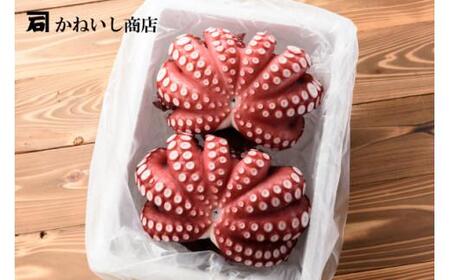 タコ 蒸したこ 2尾 約1kg×2 かねいし商店