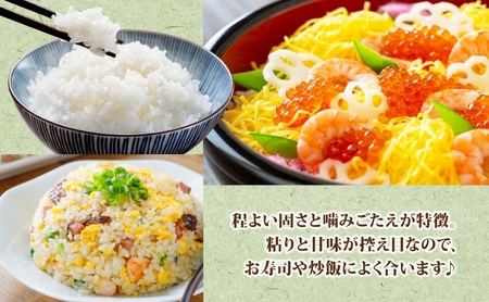 北海道 定期便 3ヵ月 連続 全3回 R7年産 北海道産 ななつぼし5kg 精米 米 白米 ごはん お米 5キロ 特A 獲得 北海道米 ブランド米 道産 ご飯 お取り寄せ あっさり ふっくら