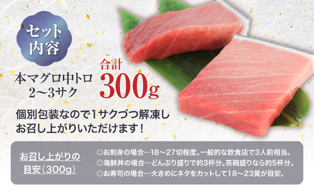 本まぐろ 中トロ 訳あり 約300g まぐろ 増量【DG007】