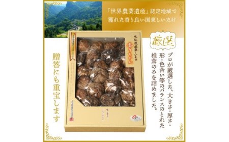 国東しいたけ「香ちゃん（極上品300g）」※桐箱入り・通 _29030B