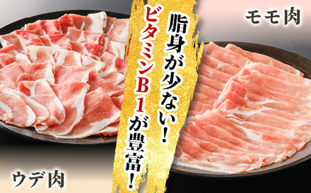【10営業日以内に発送】かごしま黒豚 切落し （ モモ肉 、 ウデ肉 ） 500g × 3P K091-005 肉 豚肉 冷凍 スピード配送 最短 すぐ届く お急ぎ
