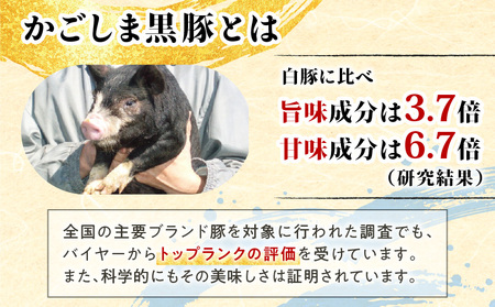 【10営業日以内に発送】かごしま黒豚 しゃぶしゃぶ 鍋 ダシ と バラエティー セット K091-007 肉 豚肉 惣菜 総菜 冷凍 スピード配送 最短 すぐ届く お急ぎ