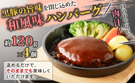 【10営業日以内に発送】鹿児島黒豚 バラエティー セット K091-008 肉 豚肉 惣菜 総菜 冷凍 ハンバーグ スピード配送 最短 すぐ届く お急ぎ
