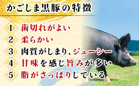 【10営業日以内に発送】鹿児島黒豚 ハンバーグ 12個 入り K091-011 肉 豚肉 惣菜 総菜 冷凍 スピード配送 最短 すぐ届く お急ぎ