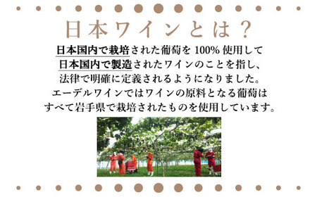 〈エーデルワイン〉ゼーレオオハサマ＆ドメーヌエーデル ツヴァイゲルトレーベセット【高島屋選定品】 【1733】