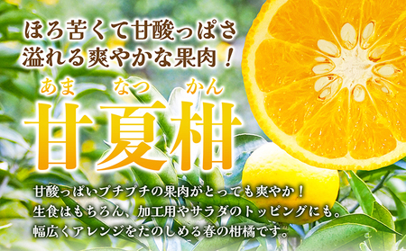【 小豆島 】 甘夏柑 約10kg 柑橘 あまなつかん 果物 フルーツ 爽やか さっぱり くだもの 国産 香川 香川県 土庄 土庄町 