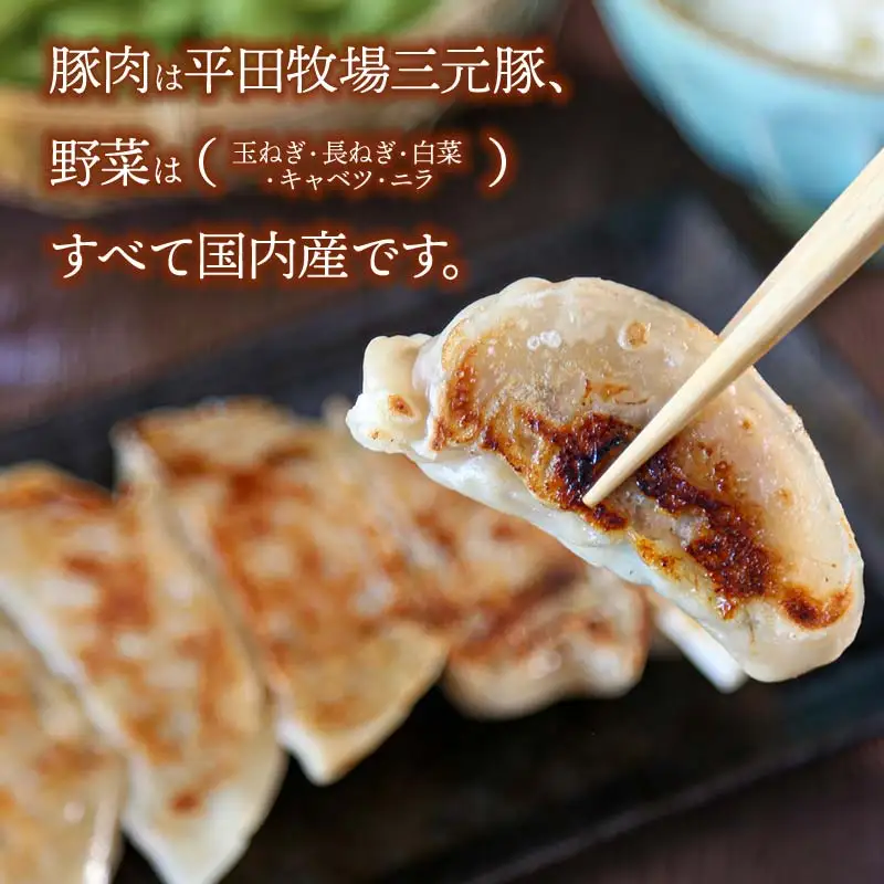 つや姫米粉入り 三元豚餃子（32g×6個入×10パック）　株式会社 たませ