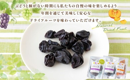 中村柿ぶどう園 ナチュラルドライフルーツ 3種セット (ピオーネ・柿・シャインマスカット) 各約40g