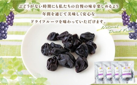 中村柿ぶどう園 ナチュラルドライフルーツ (ピオーネ) 約40g×4個