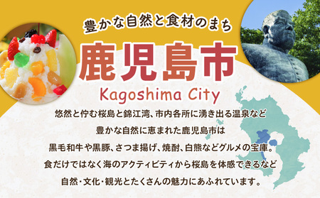 鹿児島県 鹿児島市 の 対象 ツアー に使える HIS ふるさと納税 クーポン 寄附額20,000円 HIS-002
