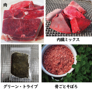 鹿の手づくり食C 生肉・骨・内臓セット 〈丹波市産〉 鹿肉 ペットフード