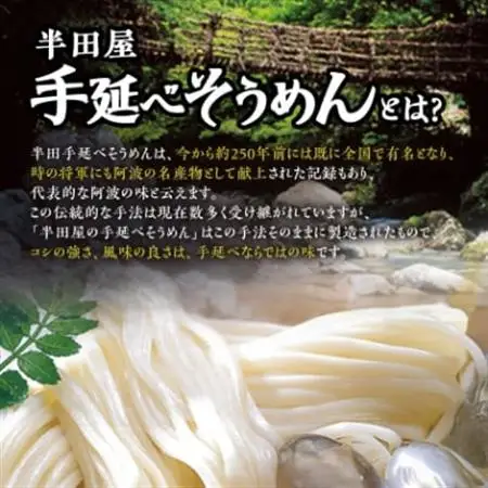 徳島県産　半田屋の手延べそうめん　100g×24束【1094465】