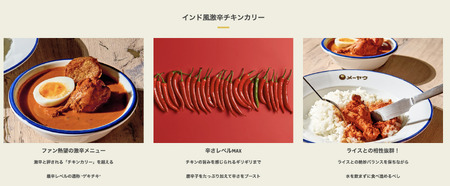 早稲田メーヤウ冷凍インド風激辛チキンカリー 0093-006-S05