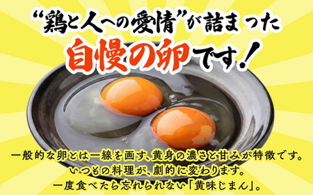 君嶋養鶏園のたまご Lサイズ 55個＋割れ補償5個（10個入り×6パック）計60個 | 卵 玉子 たまご 赤卵 赤たまご 生卵 国産 濃厚 鶏卵 コク 旨味