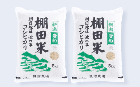 【令和7年産米】新潟県村上市岩船産 棚田米 コシヒカリ 玄米 10kg AB4041