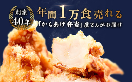 【レンジで簡単】鶏のからあげ もも肉500g（250g×2パック）【3500302】