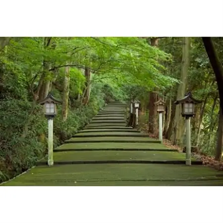 白山比め神社ガイド付き昇殿参拝_旅行券・チケット  体験チケット _【1250603】