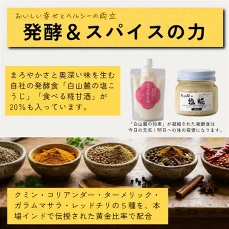 発酵スパイスカレー10個 ★白山麓のW発酵とスパイス5種  クセになる旨辛 グルテンフリー＆無添加_惣菜・加工品 カレー  _【配送不可地域：離島】【1376659】